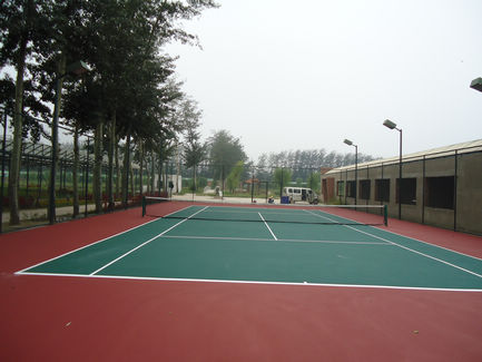1-120Z1130P6411.JPG
